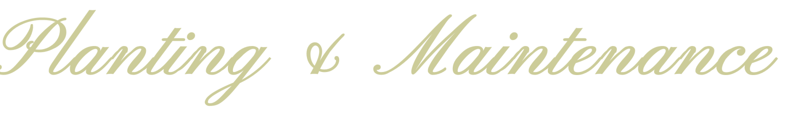 Planting Maintenance